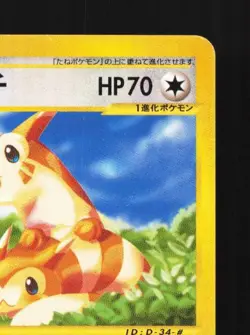 Furret 066/087 1st ED MP Wind from the Sea Japanese Pokemon Card TCG - Image 5