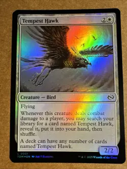 Tempest Hawk Tarkir: Dragonstorm Foil - Image 1