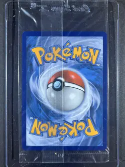 Pikachu V #SWSH145 SWSH: Sword & Shield Promo Cards SEALED 250001 - Image 2