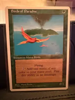 MTG | Birds of Paradise | 4th Edition | Never Played | Gem Mint - Image 1