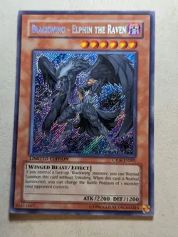 Yugioh Blackwing - Elphin the Raven CT06 ENS01 Secret Rare - Image 1