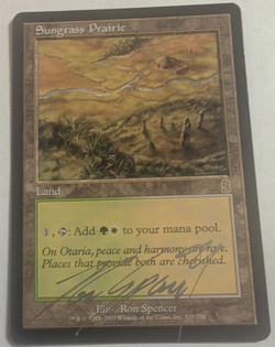 Sungrass Prairie Odyssey Regular SIGNED by Ron Spencer - Image 1
