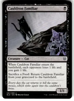 Cauldron Familiar Throne of Eldraine Regular MTG - Image 1