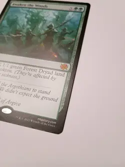 Awaken the Woods The Brothers' War Regular - Image 2