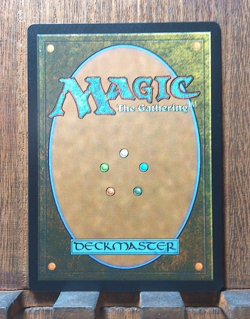 MTG The Grey Havens (Showcase Scrolls FOIL) The Lord of the Rings NEAR MINT 💕 - Image 2