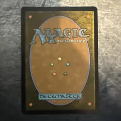 MTG - The Walls of Ba Sing Se TLA Regular Mythic #0261 - Image 2