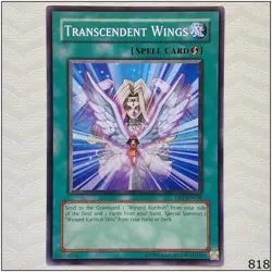 Transcendent Wings - DP1-EN018 - Common Unlimited Yugioh - Image 1