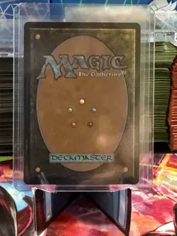 The Cabbage Merchant Extended Art Foil Magic The Gathering 203 NM - Image 2