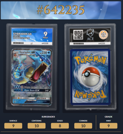 Gyarados GX SM212 -Sun & Moon Black Star Promo -ACE 9 MINT -Pokemon TCG - Image 3