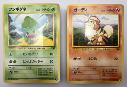 Pokemon Card Intro Pack Starter Deck Box 1999 Squirtle Bulbasaur Japanese - Image 3