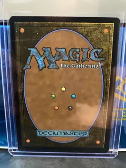 The Walls of Ba Sing Se (Set#: 0261) - MTG - Avatar The Last Airbender - NM - Image 2