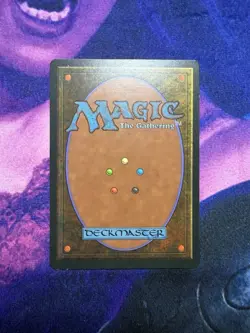 Merchant Scroll - Homelands Regular MTG 1995 NM - Image 2