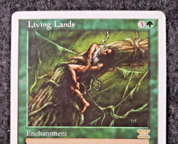 Magic: The Gathering MTG Rare Living Lands Sixth Ed NEVER PLAYED NM (DS3D1H4) - Image 3