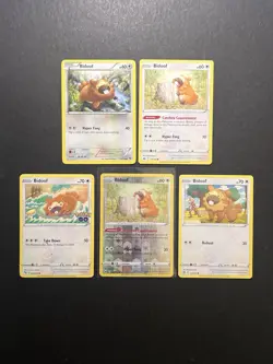 5 Bidoof Pokemon Card Collection XY SWSH Reverse Holo PTCG - Image 1