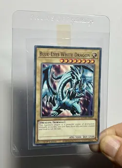 Blue-Eyes White Dragon SDWD-EN001 (NM) Common 1st Edition Structure Deck 2025 - Image 3