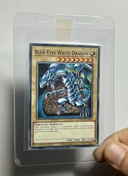 Blue-Eyes White Dragon SDWD-EN002 (NM) Common 1st Edition Structure Deck 2025 - Image 3
