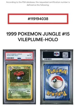 1999 Pokemon Jungle Vileplume Holo #15 PSA 8, Free Shipping - Image 3