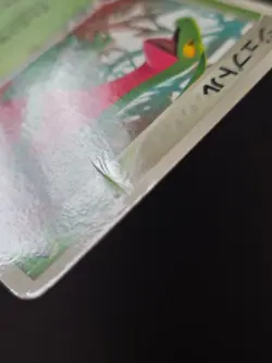 Pokemon card Japanese Grovyle 081/PCG-P McDonald's Black Star Promo 2005 - LP+ - Image 3