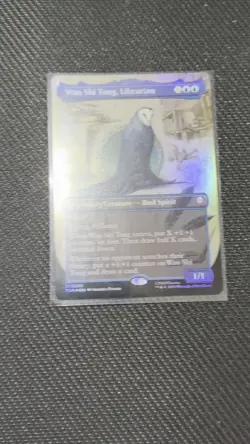 Magic The Gathering, Avatar: Wan Shi Tong, Librarian #320 ( Borderless) - Image 2