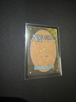 Magic The Gathering, Avatar: Wan Shi Tong, Librarian #320 ( Borderless) - Image 3