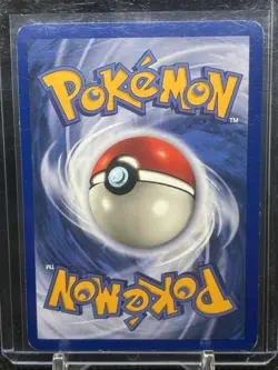 Horsea 1st Edition Fossil Common Pokemon TCG Card 49/62 - Image 4