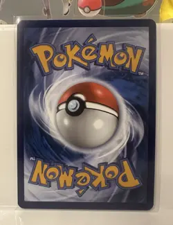 Kangaskhan - 202 (Cosmos Holo) - SV: Scarlet & Violet Promo Cards (SVP) - Image 2