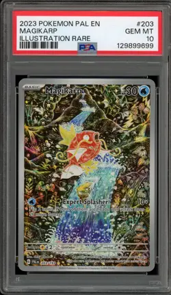 Pokemon Magikarp Paldea Evolved Illustration Rare #203 PSA 10 Gem Mint - Image 1