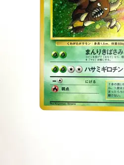 LP EX Pokemon Card Pinsir LV.24 NO.127 OLD BACK JAPAN EDITION - Image 4