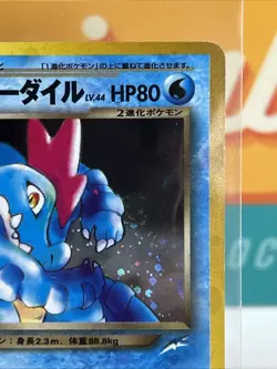 Dark Feraligatr #160 Holo Rare Pokemon 2001 Japanese Darkness, and To Light DMG - Image 5