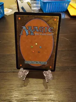 Misty Rainforest Zendikar Foil - Light edge wear - FREE SHIP - Image 2