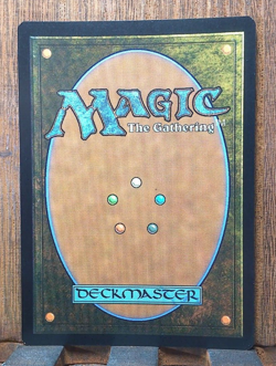 The Shire (Borderless) (Surge Foil) Universes Beyond: The Lord of the Rings:... - Image 3