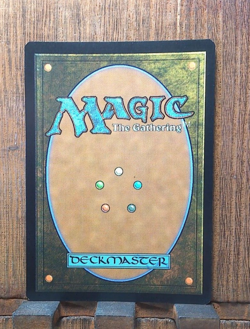 The Shire (Borderless) (Surge Foil) Universes Beyond: The Lord of the Rings:... - Image 4