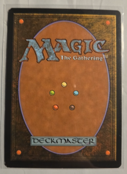Puresteel Paladin New Phyrexia Regular - Image 2