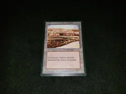 MTG 1x 4th Edition MP Spanish FBB Misprint Burrowing / Strip Mine - see descript - Image 1
