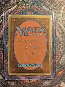 Savannah Dual Land Magic The Gathering COLLECTORS EDITION Damaged Vintage - Image 3