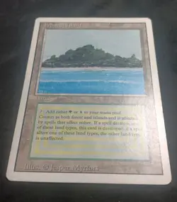 MTG Tropical Island Revised 3rd Edition Regular Rare MP-HP - Image 2