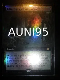 mtg magic verdant catacombs extended FOIL FRENCH vf fr catacombes verdoyantes - Image 2