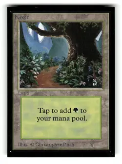 Forest (B) (IE) International Edition 281 Near Mint 2 - Image 1