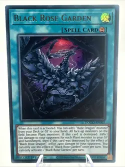 Yu Gi Oh Doom of Dimensions Black Rose Garden 1st ED NM Ultra Rare DOOD-EN055 - Image 1