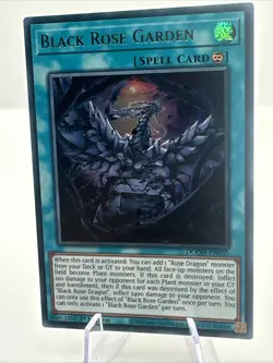 Yu Gi Oh Doom of Dimensions Black Rose Garden 1st ED NM Ultra Rare DOOD-EN055 - Image 2