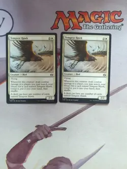 MTG - Tempest Hawk X2 Common White Creature - Bird - Image 1