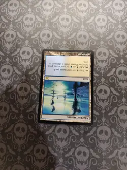 Adarkar Wastes 10th Edition Regular - Image 2