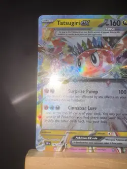TATSUGIRI EX - 142/191 Surging Sparks NM - Double Rare Holo - Pokemon TCG Card - Image 5
