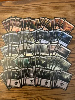 Time Spiral Basic Land Lot x80 Magic the Gathering Time Spiral Land 4x Each Art - Image 1