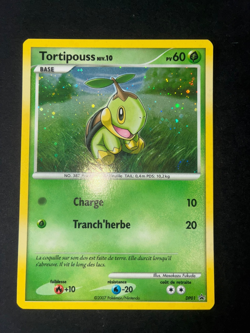 Carte Pokemon Tortipouss DP01 Holo - Promo - Diamant et Perle - FR -NM - Image 1