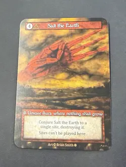 Sorcery Contested Realm Gothic - Salt the Earth Unique Non Foil - Image 1