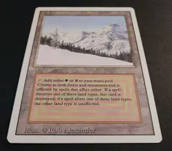 1x Taiga MTG **NM/LP (Revised, English) Dual Land - Image 3