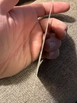 Birds of Paradise Core Set 2010 (M10) Regular - Image 4