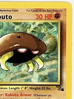 Kabuto NM 50/62 1st Edition Fossil Pokemon TCG Regular - Image 4