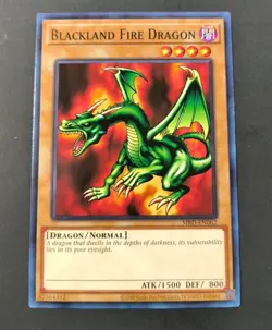 Yu-Gi-Oh! Metal Raiders Blackland Fire Dragon Common Card MRD-EN062 NM - Image 1